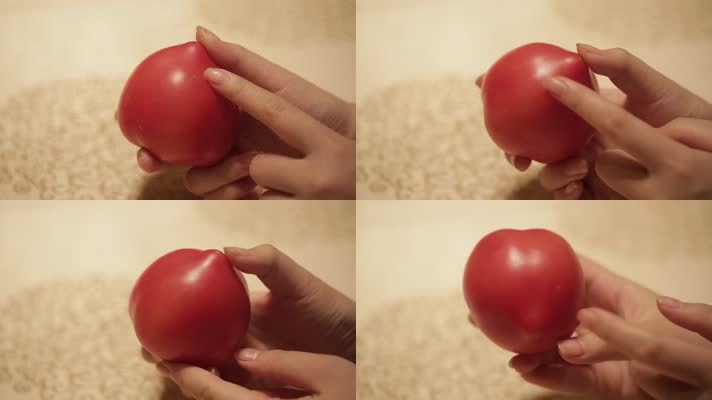 番茄西红柿 (4)