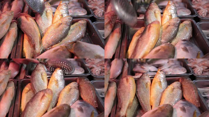 海鲜市场购买黄花鱼 (4)