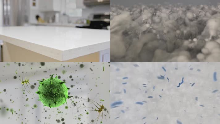 灶台厨房油污细菌动画