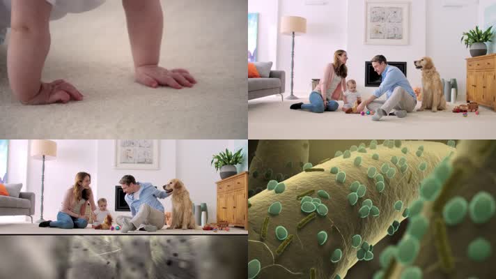 地毯细菌视频镜头