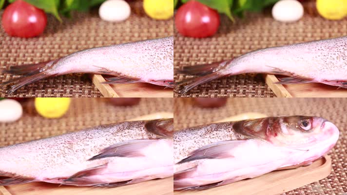 白鲢鱼胖头鱼 (2)