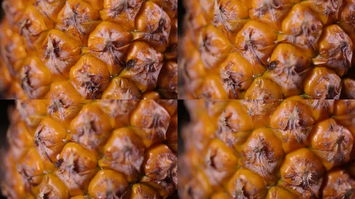 水果菠萝表皮 (4)