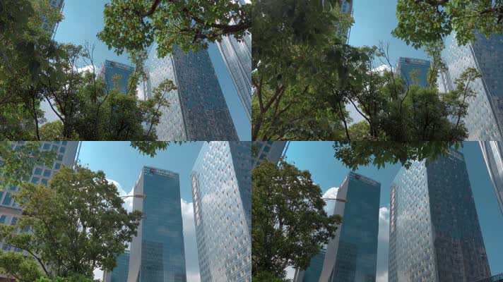 深圳形象视频掩映在树叶里恒大集团总部大厦