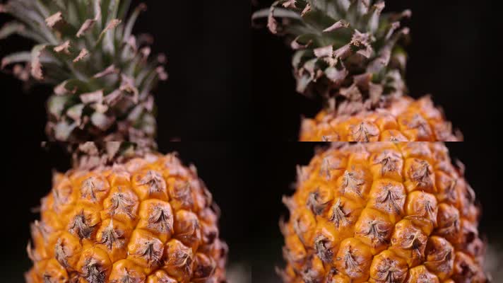 水果菠萝表皮 (3)