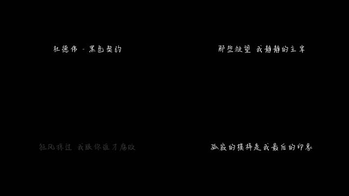 杜德伟 - 黑色契约（1080P）