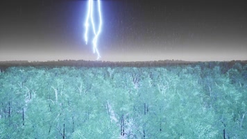 【4K】森林闪电