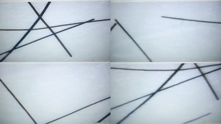 电子显微镜观察发丝毛鳞片 (1)