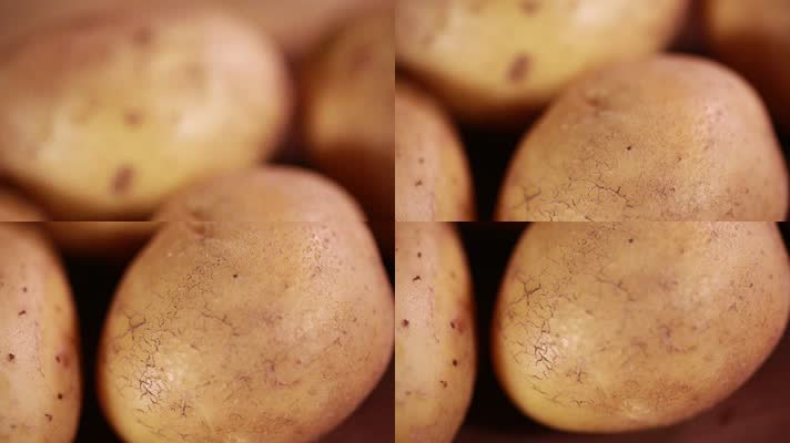 近景土豆马铃薯 (3)