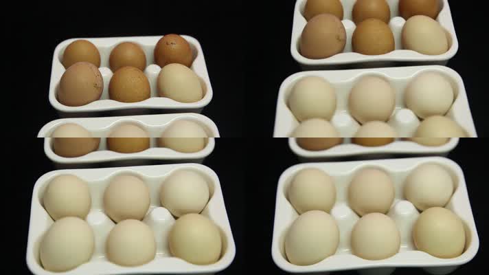 储存鸡蛋工具 (3)