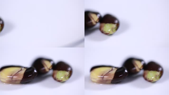 微距脱壳黑豆 (2)