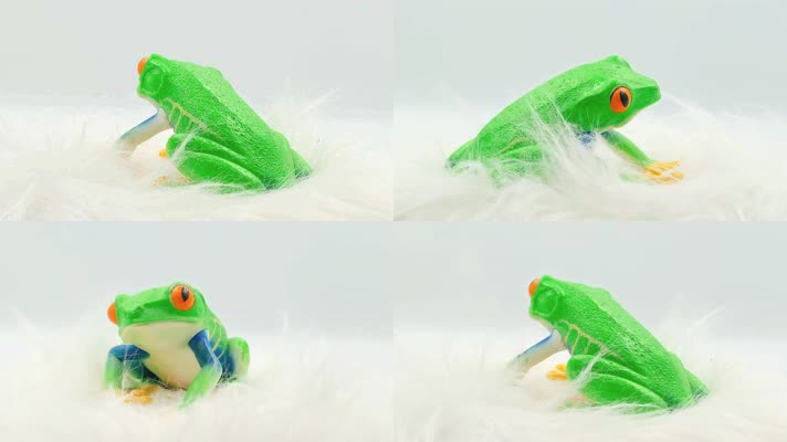 树蛙青蛙模型玩具 (3)