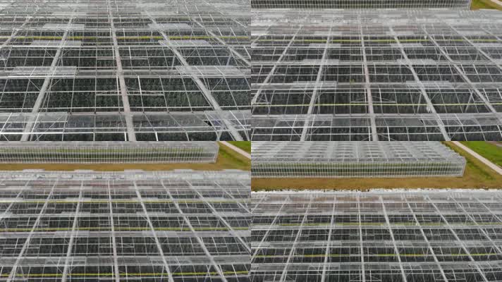 智慧农业种植专用高科技玻璃温室大棚
