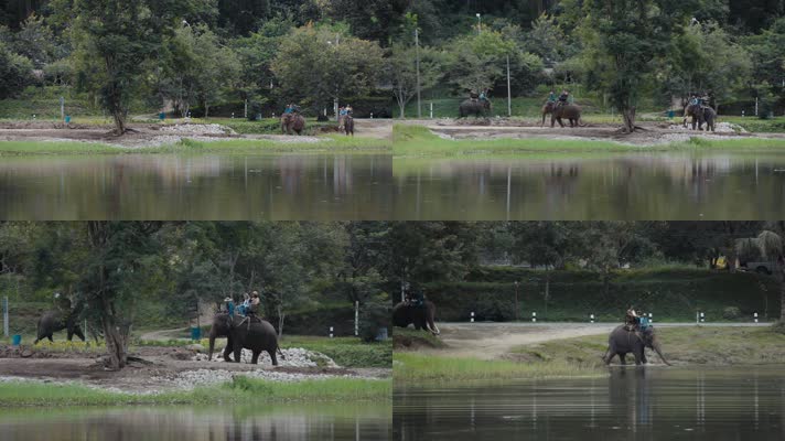 泰国旅游视频泰国大象园游客骑行大象