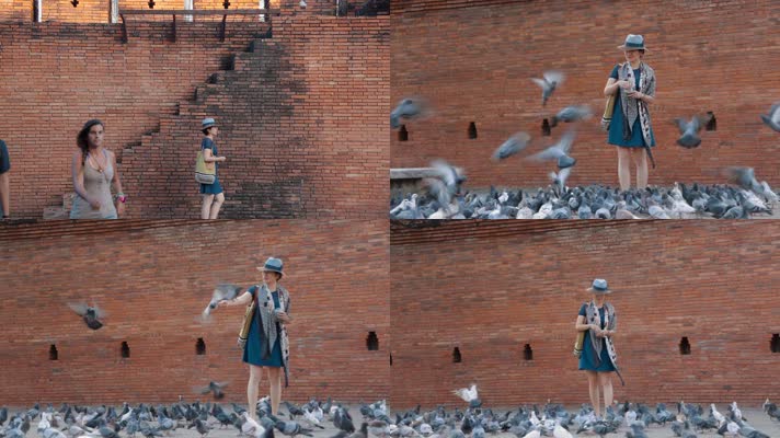 泰国旅游视频泰国清迈古城墙边喂鸽子女游客