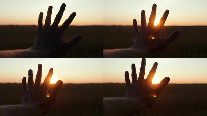 夕阳下的手