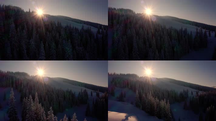 冬季森林上空的日出