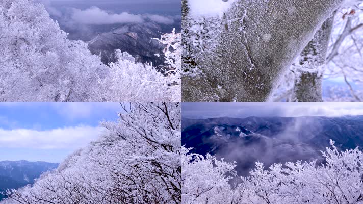 雪淞雾凇森林冰雪冰雪森林冬季森林实拍雪景