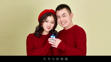 快闪婚礼视频模板