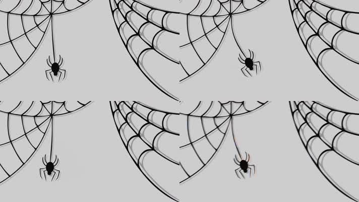蜘蛛网动画