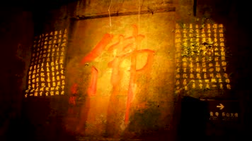 实拍旅拍乐山大佛 灯光夜景 旅游城市朝圣