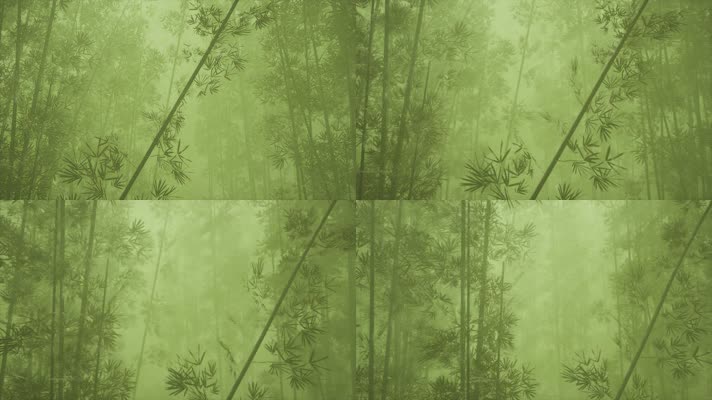 晨雾缭绕绿色竹林