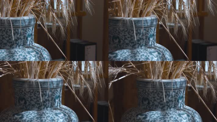 青花瓷瓶视频插满干燥花的瓷瓶饰品