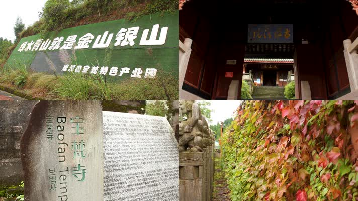 实拍旅拍绿水青山就是金山银山 宝梵寺壁画