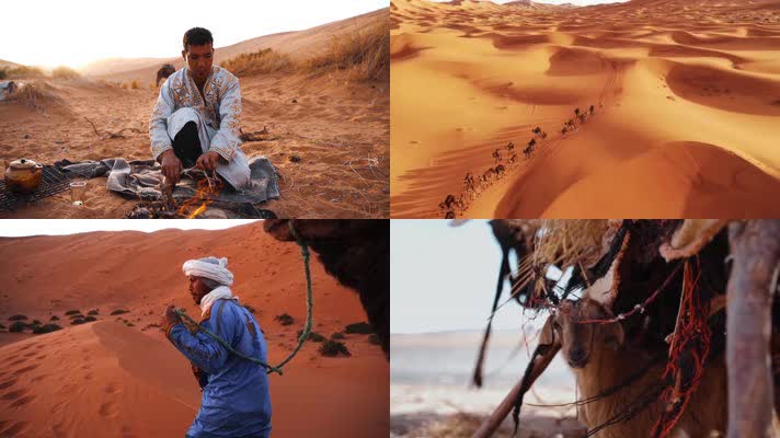 沙漠骆驼，中东沙漠