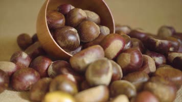 板栗原创4K商用视频