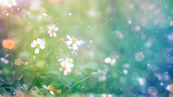 《我和我的祖国》歌曲配乐