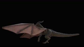 西方龙 恐龙 火龙 龙族 龙 飞翔的龙 飞龙翼