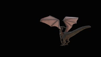 西方龙 恐龙 火龙 龙族 龙 飞翔的龙 飞龙翼