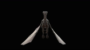 西方龙 恐龙 火龙 龙族 龙 飞翔的龙 飞龙翼