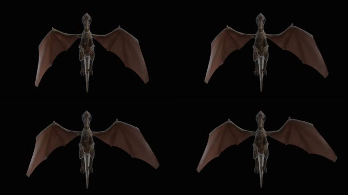 西方龙 恐龙 火龙 龙族 龙 飞翔的龙 飞龙翼