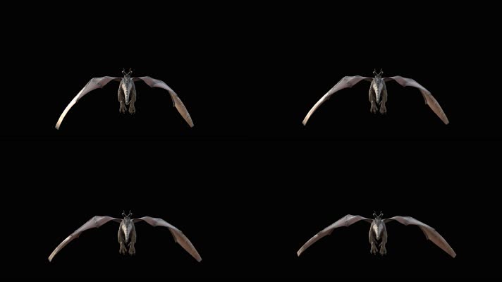 西方龙 恐龙 火龙 龙族 龙 飞翔的龙 飞龙翼