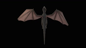 西方龙 恐龙 火龙 龙族 龙 飞翔的龙 飞龙翼