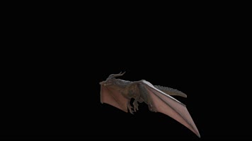 西方龙 恐龙 火龙 龙族 龙 飞翔的龙 飞龙翼