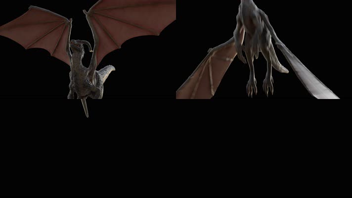 西方龙 恐龙 火龙 龙族 龙 飞翔的龙 飞龙翼