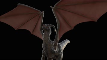 西方龙 恐龙 火龙 龙族 龙 飞翔的龙 飞龙翼