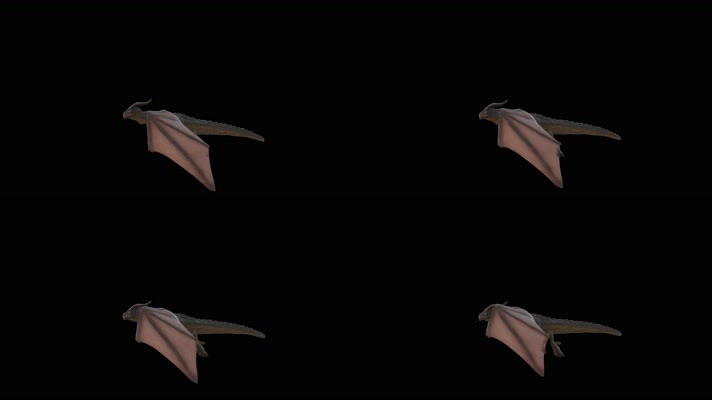 西方龙 恐龙 火龙 龙族 龙 飞翔的龙 飞龙翼