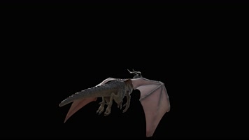西方龙 恐龙 火龙 龙族 龙 飞翔的龙 飞龙翼