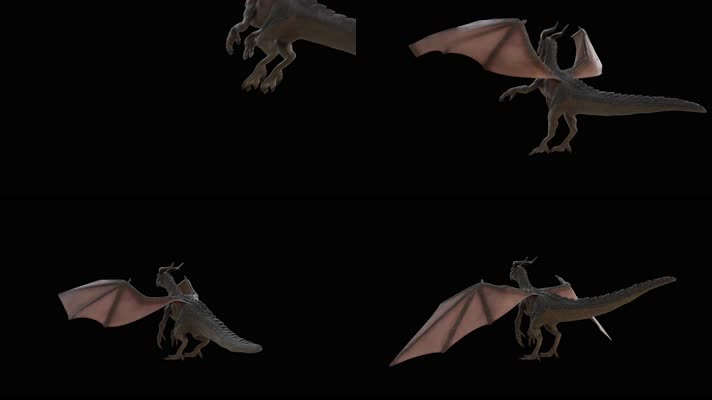 西方龙 恐龙 火龙 龙族 龙 飞翔的龙 飞龙翼