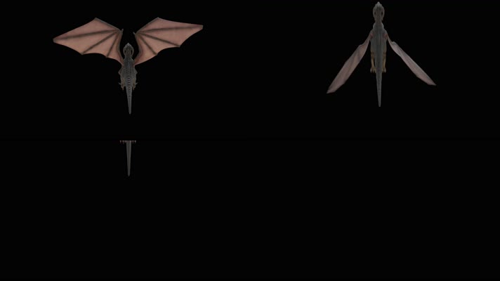 西方龙 恐龙 火龙 龙族 龙 飞翔的龙 飞龙翼