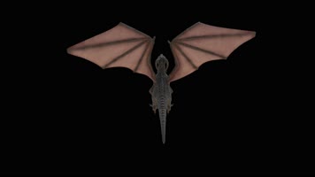 西方龙 恐龙 火龙 龙族 龙 飞翔的龙 飞龙翼