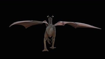 西方龙 恐龙 火龙 龙族 龙 飞翔的龙 飞龙翼