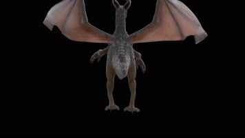 西方龙 恐龙 火龙 龙族 龙 飞翔的龙 飞龙翼