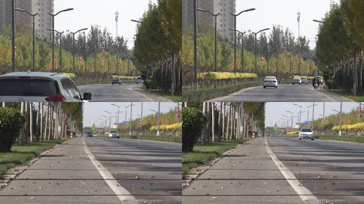 金秋落叶公路汽车