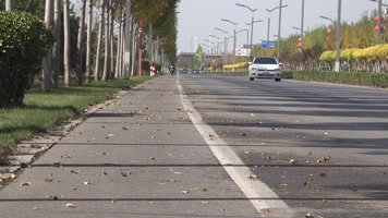 金秋落叶公路汽车