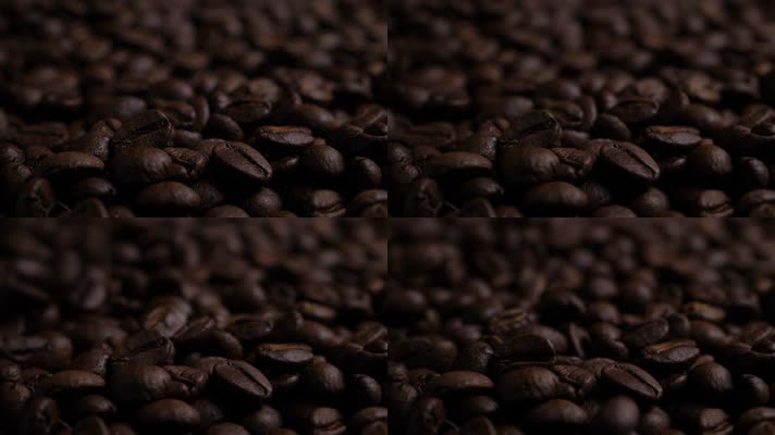 【ProRes】咖啡豆2