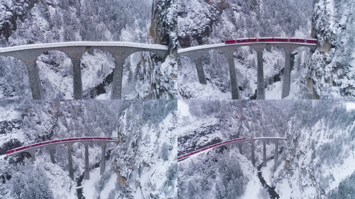 冬季在森林高架桥上的火车